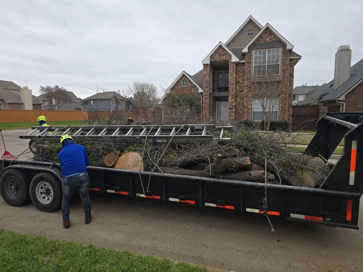 Expert Tree Removal with proper safety equipment in Jerry City